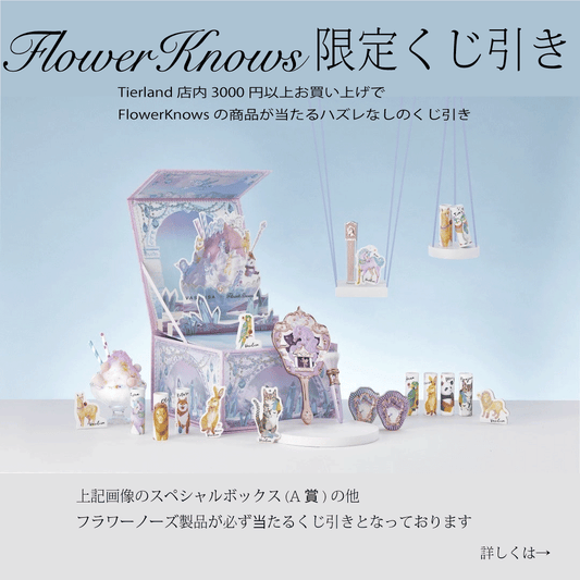 FlowerKnows限定くじ引きキャンペーン